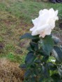 /album/fotogalereya/foto1616-jpg/